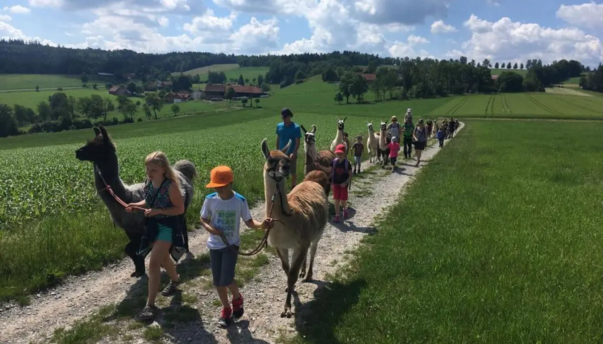 Familiengruppe Lamawanderung | © DAV Fulda
