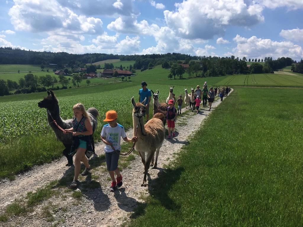 Familiengruppe Lamawanderung | © DAV Fulda