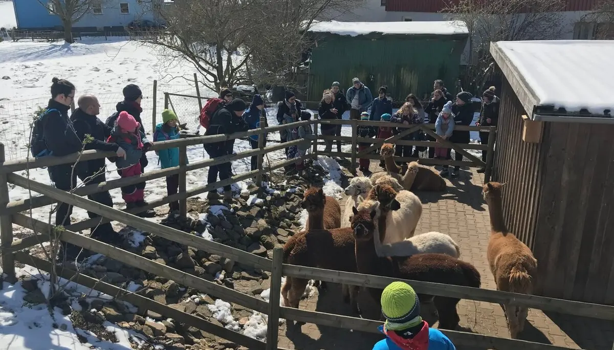 Familiengruppe Alpaka-Wanderung 2022 | © DAV Fulda
