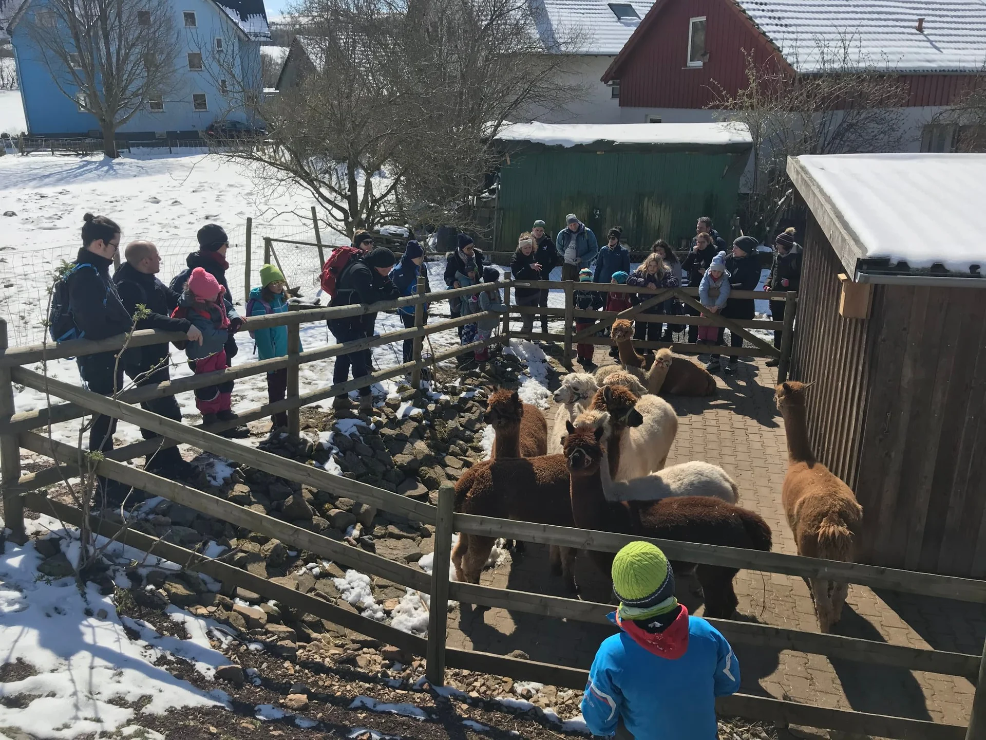 Familiengruppe Alpaka-Wanderung 2022 | © DAV Fulda