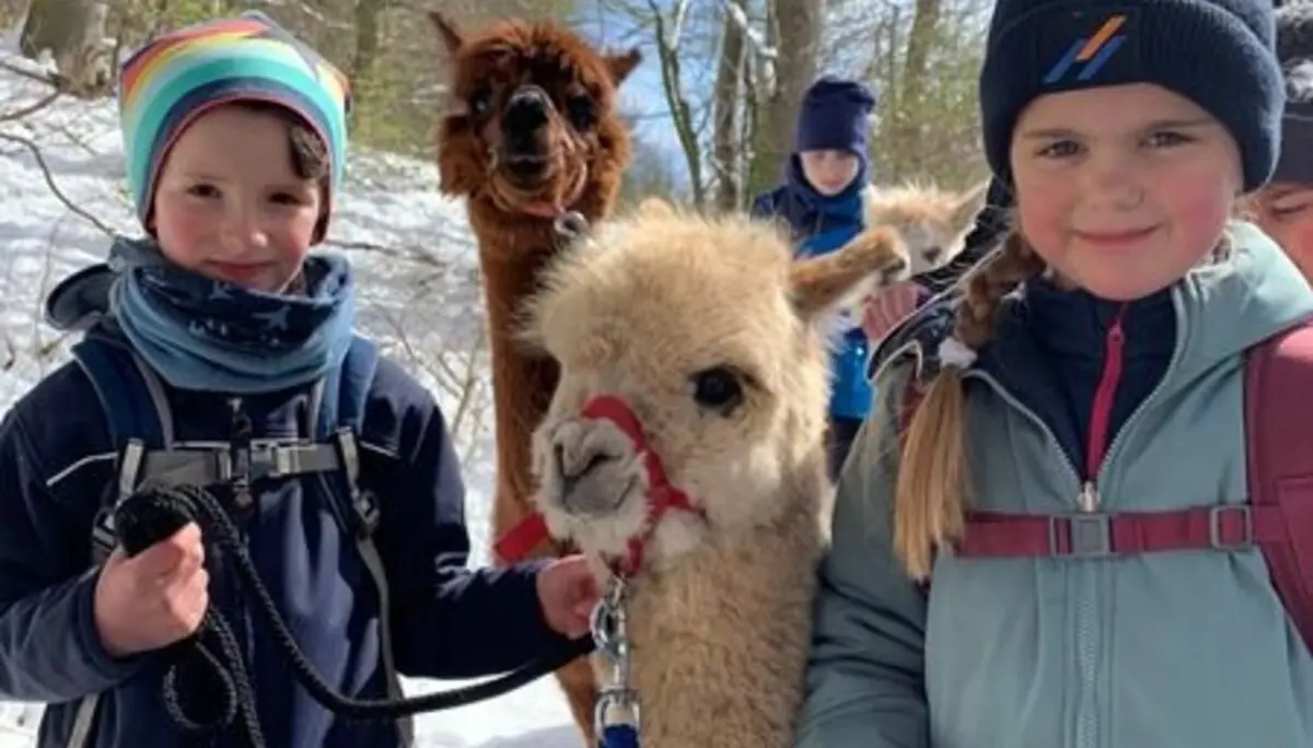 Familiengruppe Alpaka-Wanderung 2022 | © DAV Fulda