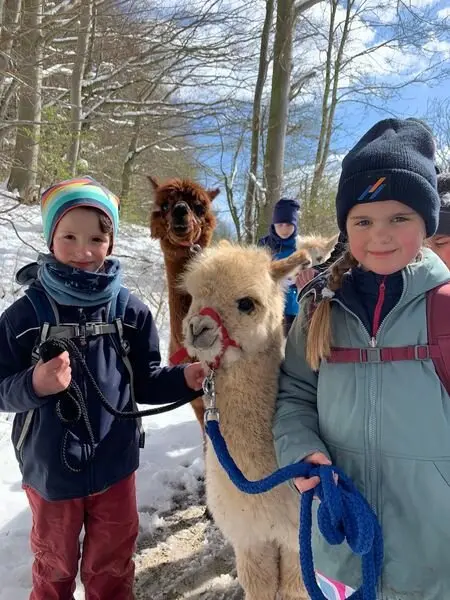 Familiengruppe Alpaka-Wanderung 2022 | © DAV Fulda