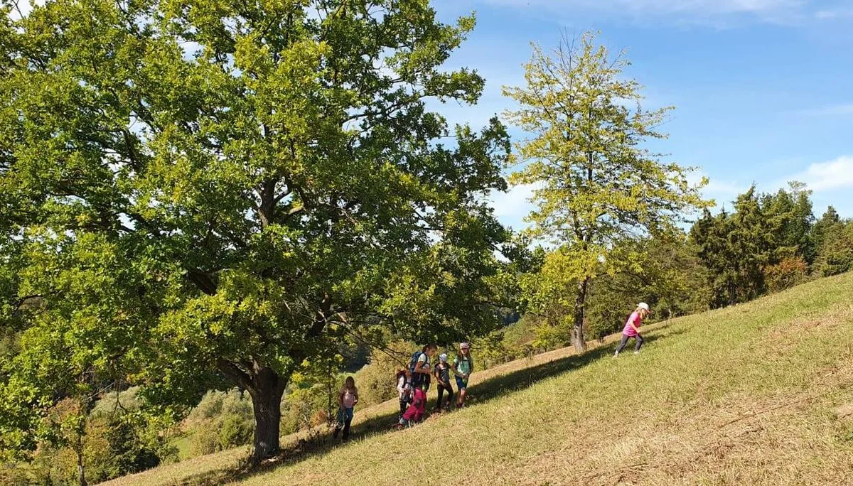 Familiengruppe Wanderung grünes Band 2020 | © DAV Fulda