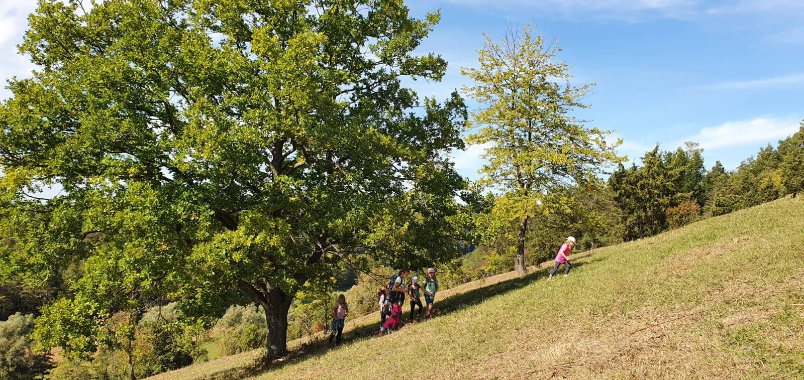 Familiengruppe Wanderung grünes Band 2020 | © DAV Fulda