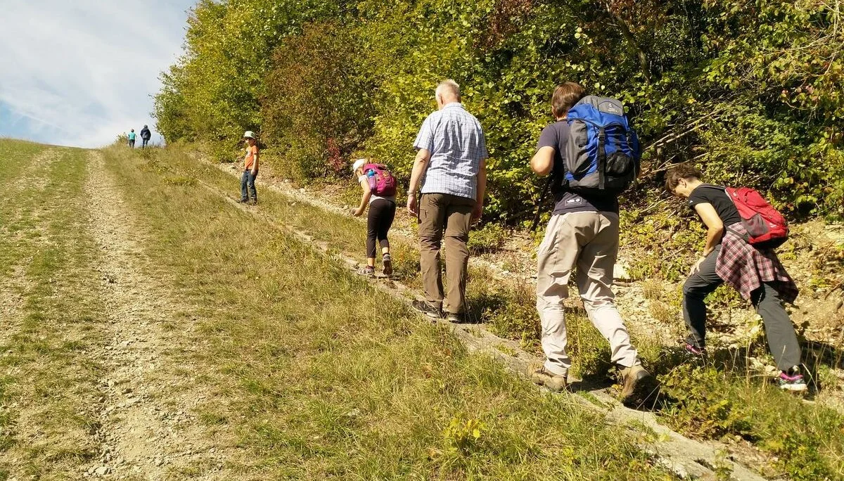 Familiengruppe Wanderung grünes Band 2020 | © DAV Fulda