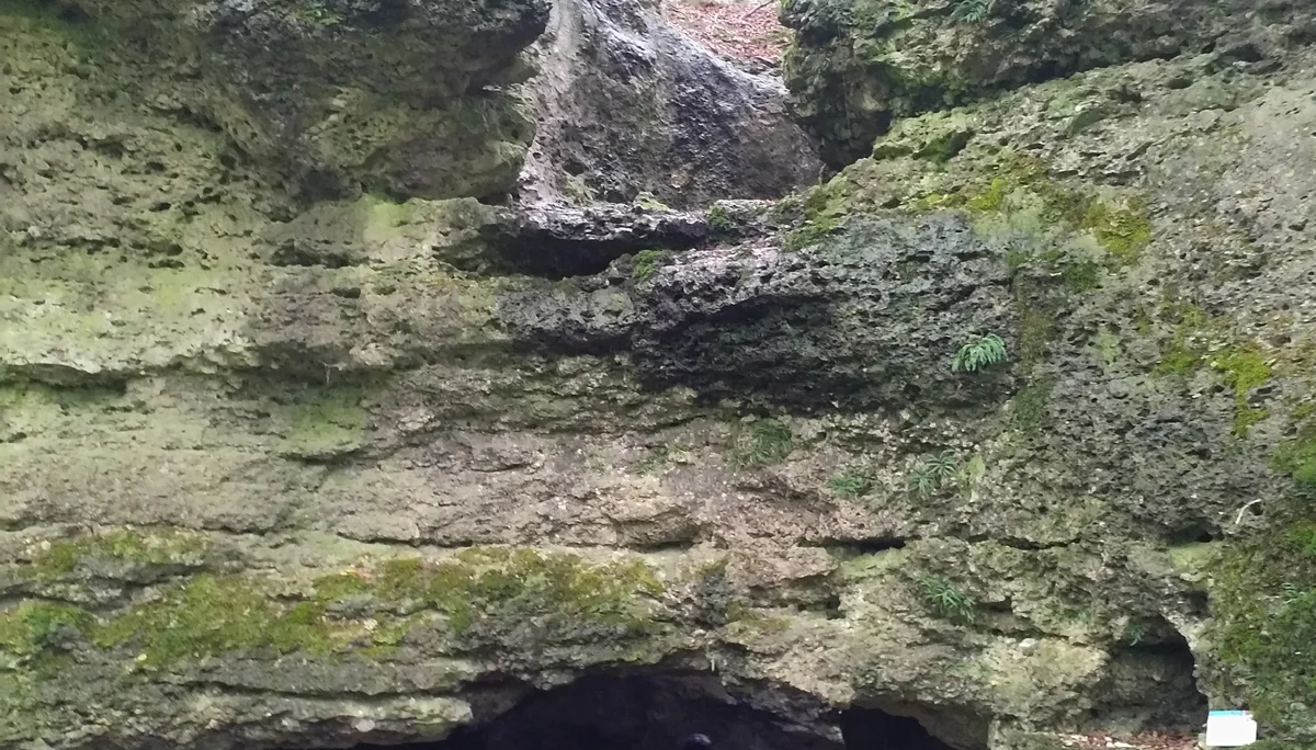 Familiengruppe Herbstwandern in Franken | © DAV Sektion Fulda
