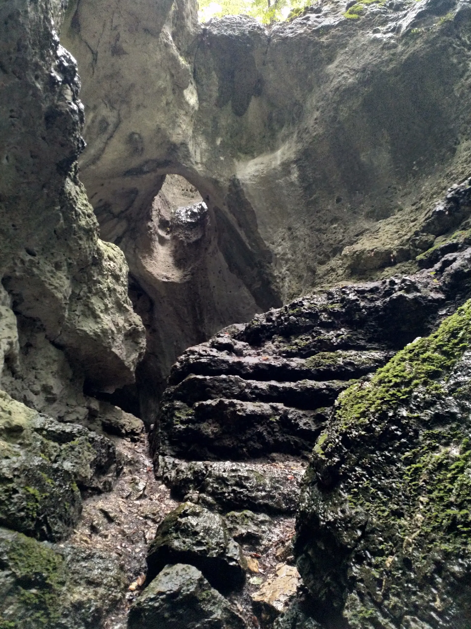 Familiengruppe Herbstwandern in Franken | © DAV Sektion Fulda