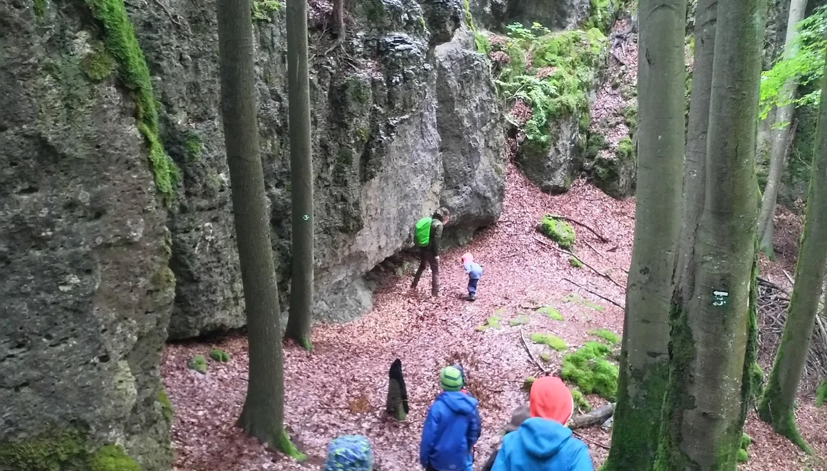 Familiengruppe Herbstwandern in Franken | © DAV Sektion Fulda
