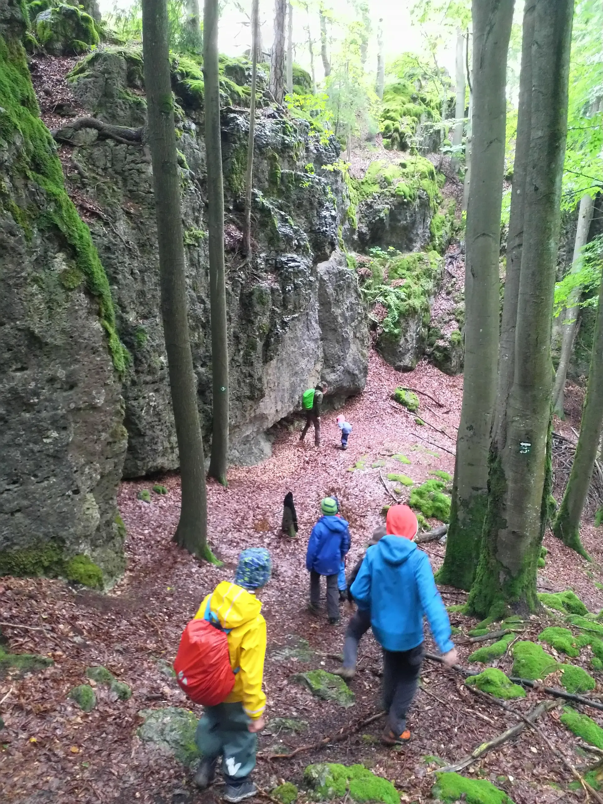 Familiengruppe Herbstwandern in Franken | © DAV Sektion Fulda