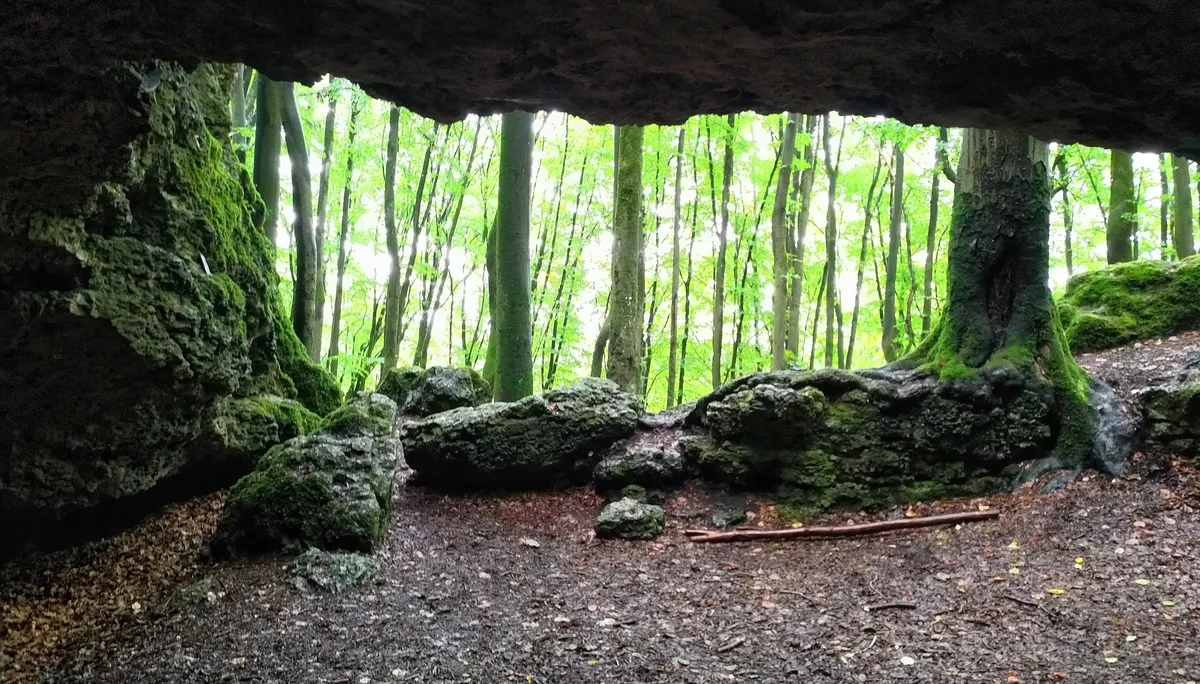 Familiengruppe Herbstwandern in Franken | © DAV Sektion Fulda