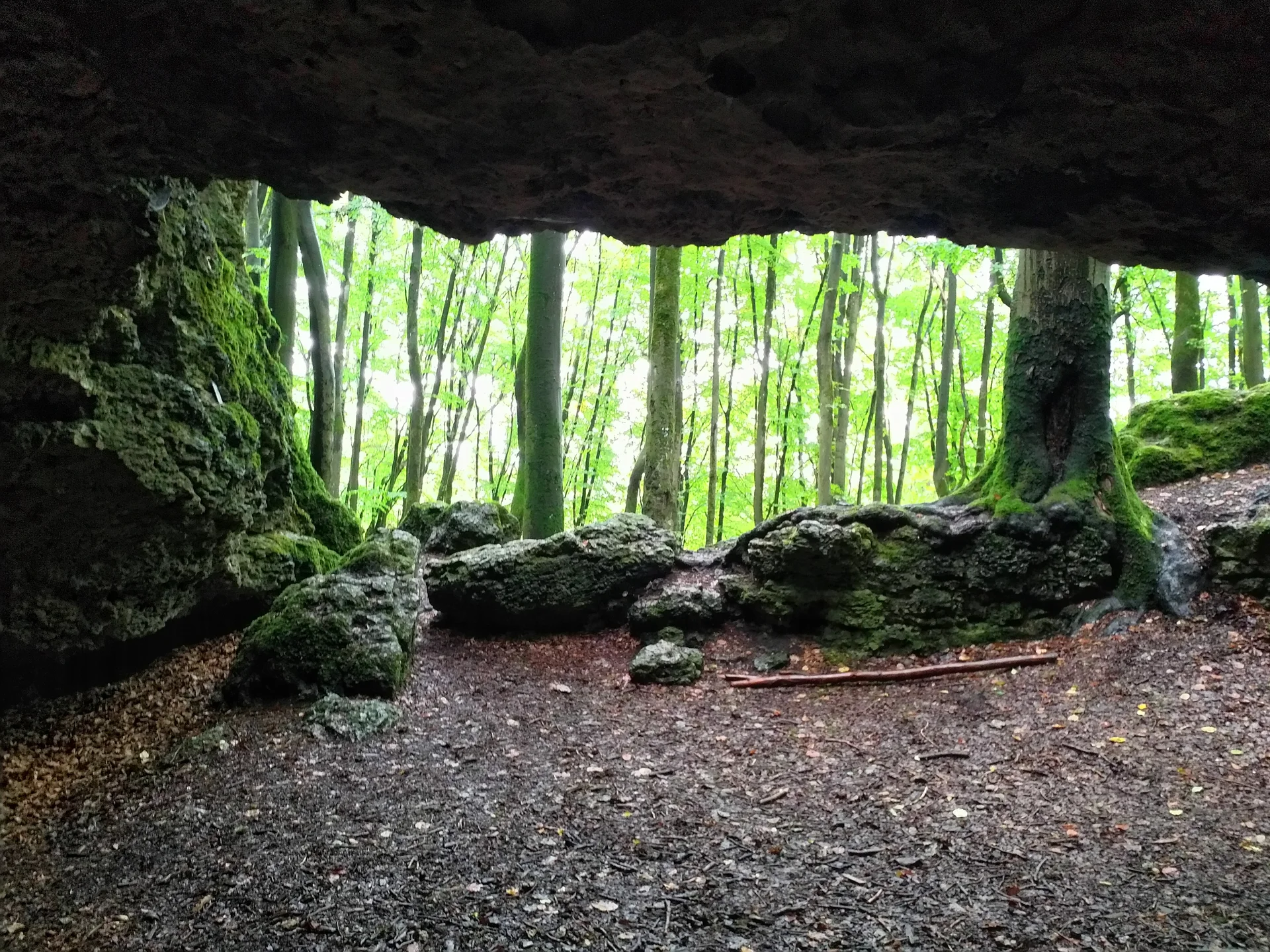 Familiengruppe Herbstwandern in Franken | © DAV Sektion Fulda