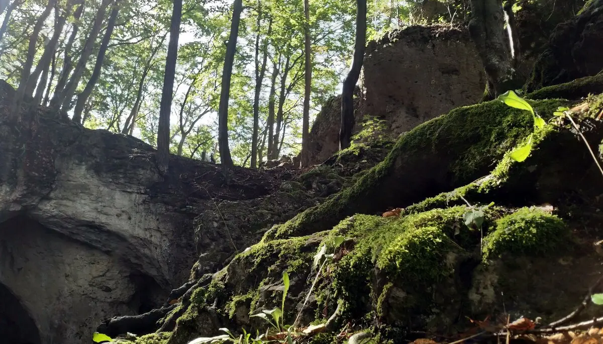 Familiengruppe Herbstwandern in Franken | © DAV Sektion Fulda