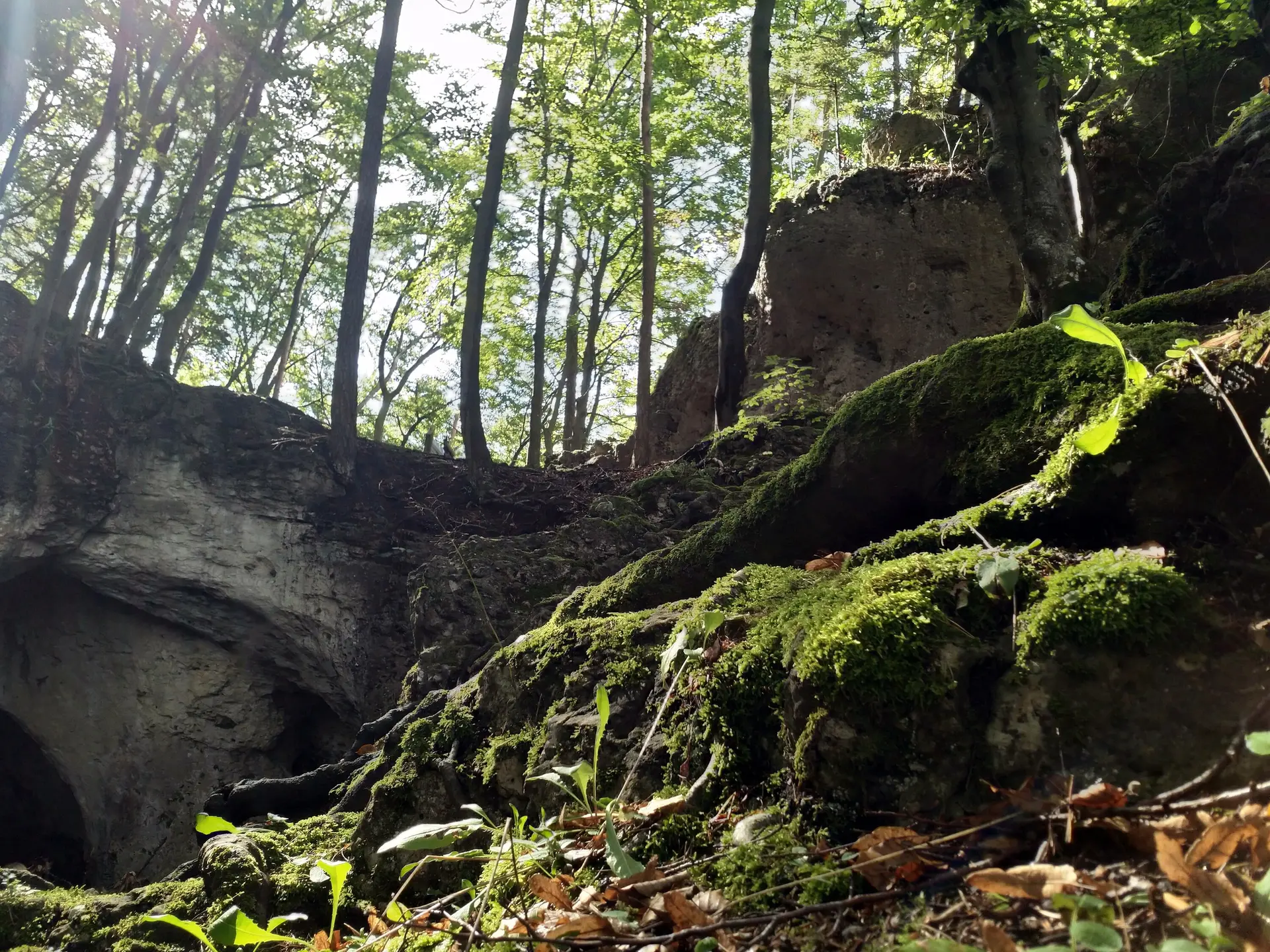 Familiengruppe Herbstwandern in Franken | © DAV Sektion Fulda