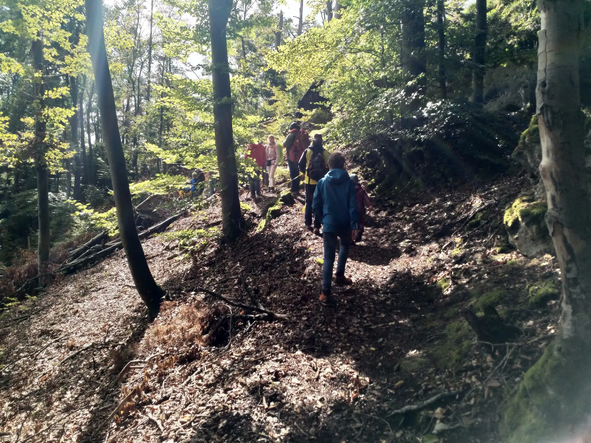 Familiengruppe Herbstwandern in Franken | © DAV Sektion Fulda