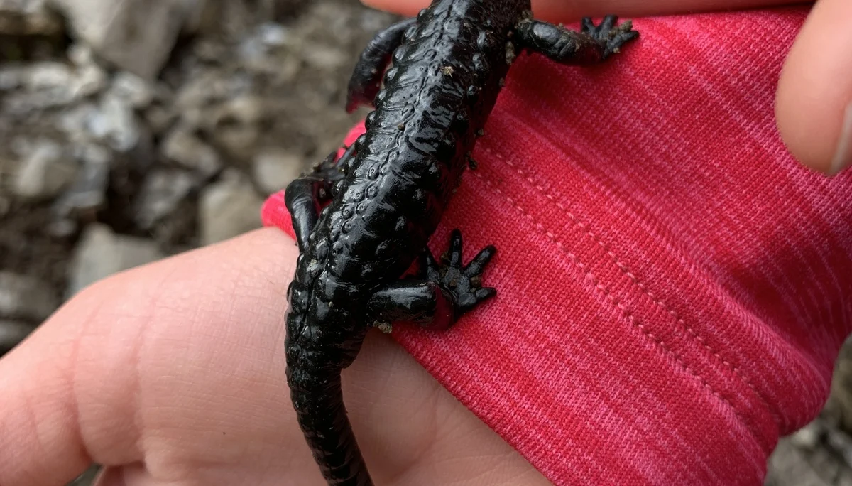 DAV Familiengruppe Freiburger Hütte 2022 | © DAV Sektion Fulda