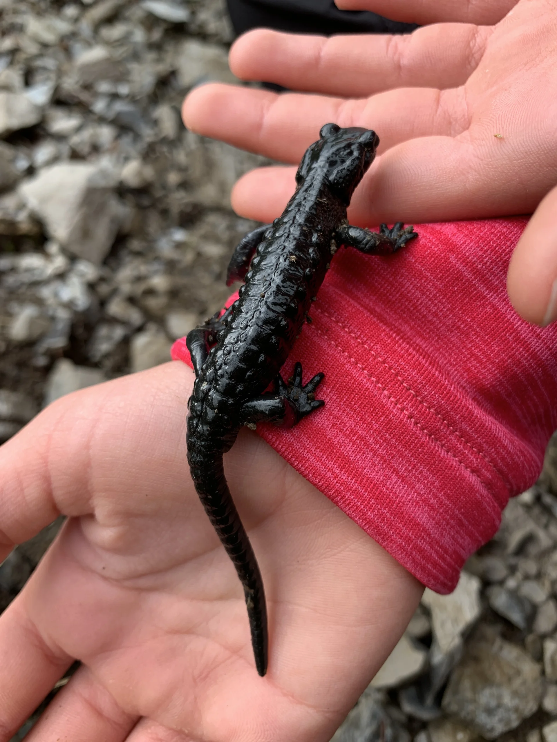 DAV Familiengruppe Freiburger Hütte 2022 | © DAV Sektion Fulda