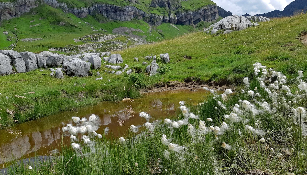DAV Familiengruppe Freiburger Hütte 2022 | © DAV Sektion Fulda