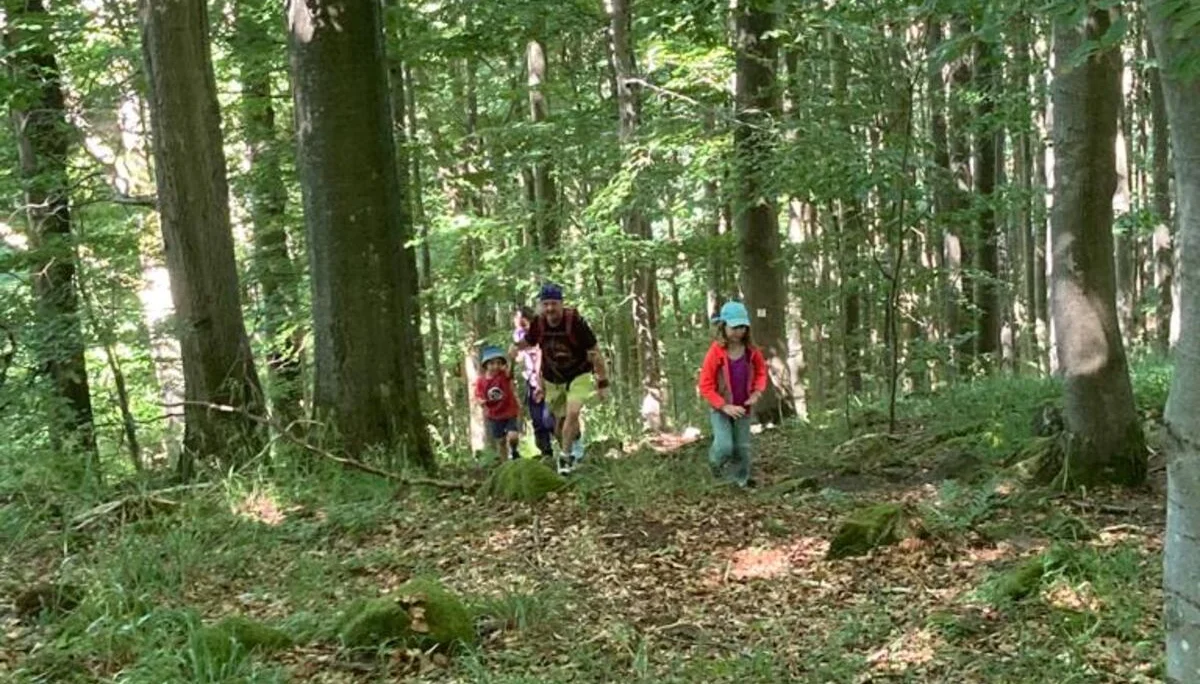 DAV Familiengruppe Wanderung Lösershag | © DAV Sektion Fulda