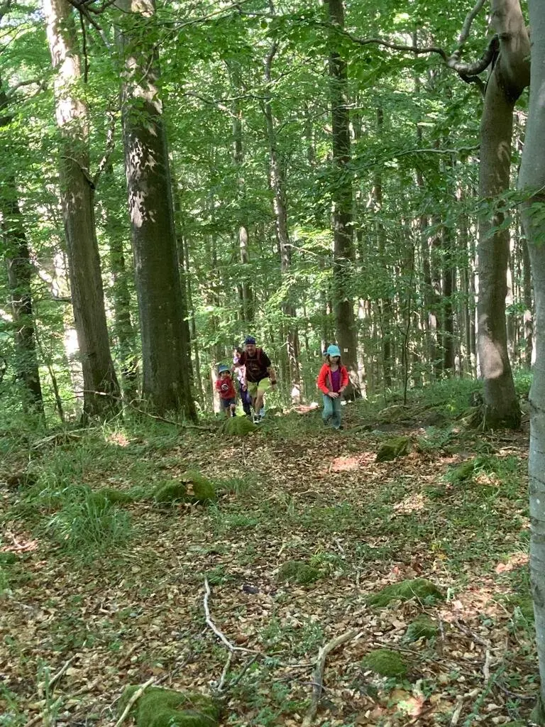 DAV Familiengruppe Wanderung Lösershag | © DAV Sektion Fulda