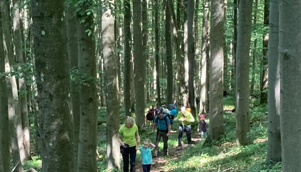 DAV Familiengruppe Wanderung Lösershag | © DAV Sektion Fulda