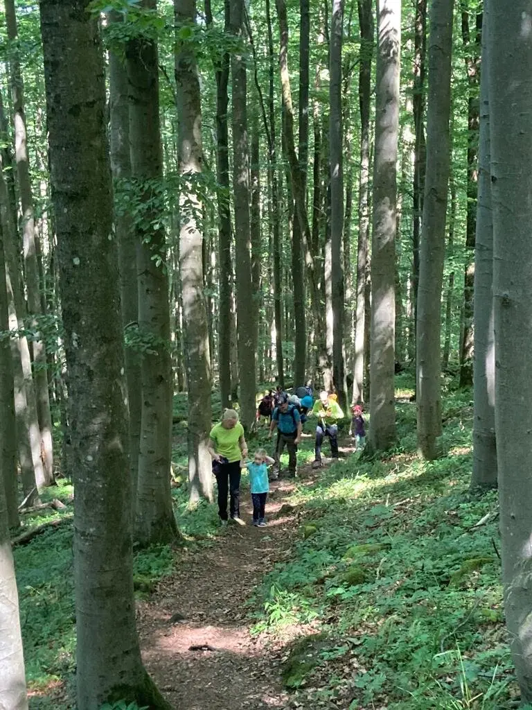 DAV Familiengruppe Wanderung Lösershag | © DAV Sektion Fulda