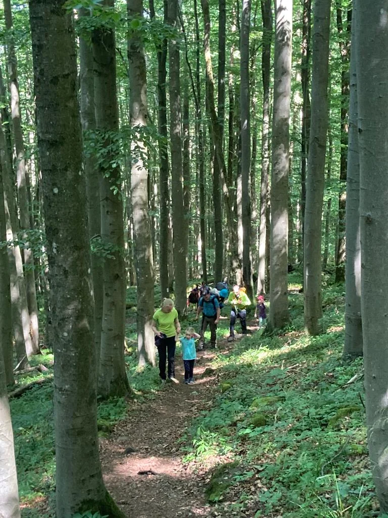 DAV Familiengruppe Wanderung Lösershag | © DAV Sektion Fulda