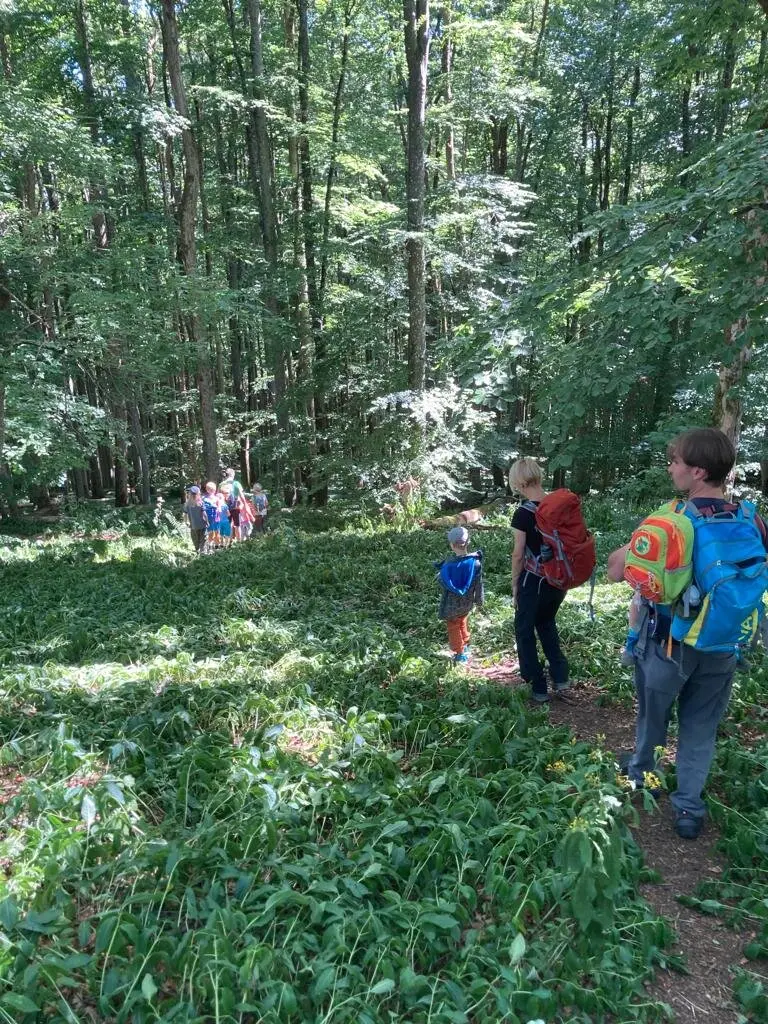 DAV Familiengruppe Wanderung Lösershag | © DAV Sektion Fulda