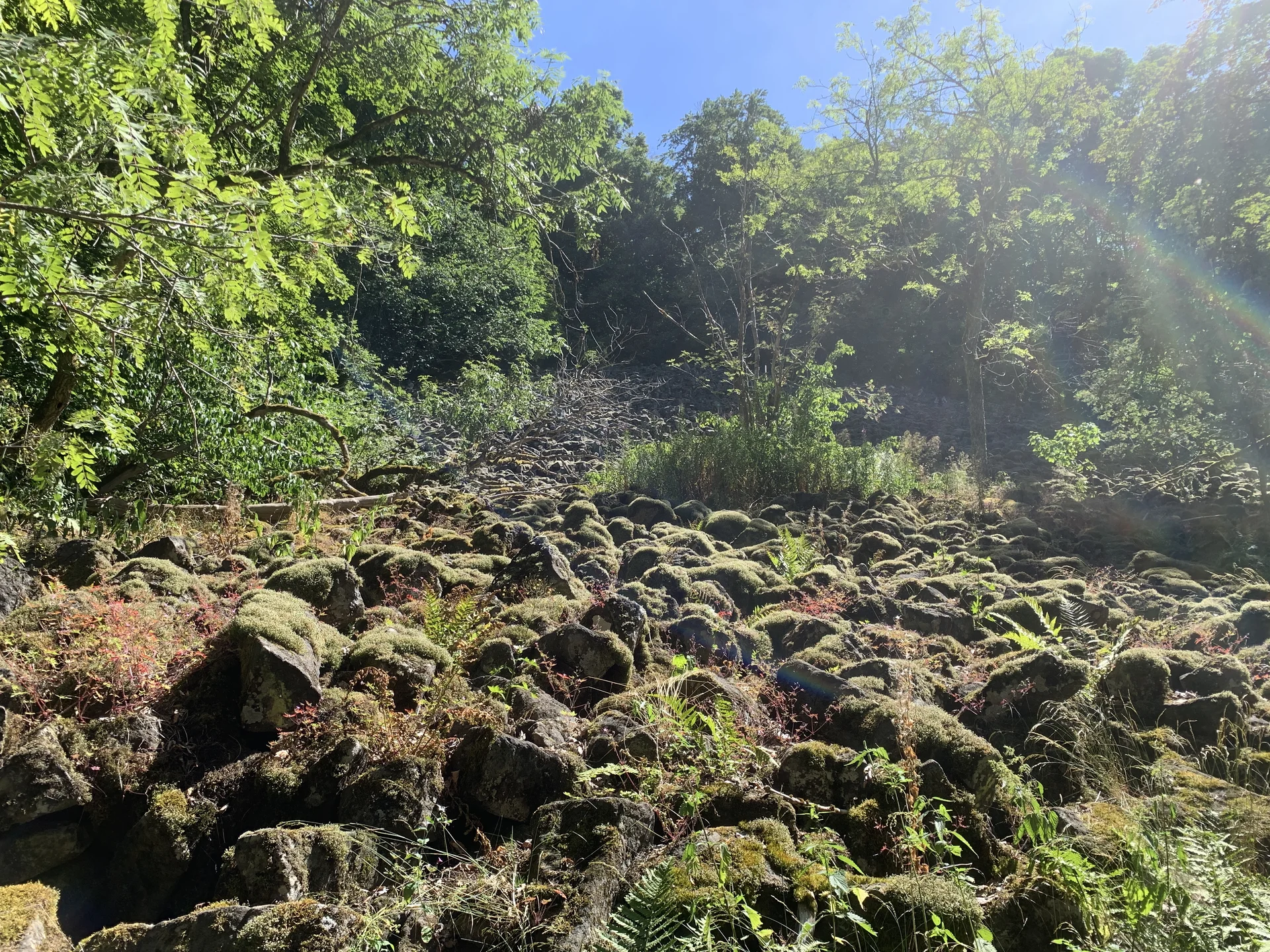 DAV Familiengruppe Wanderung Lösershag | © DAV Sektion Fulda