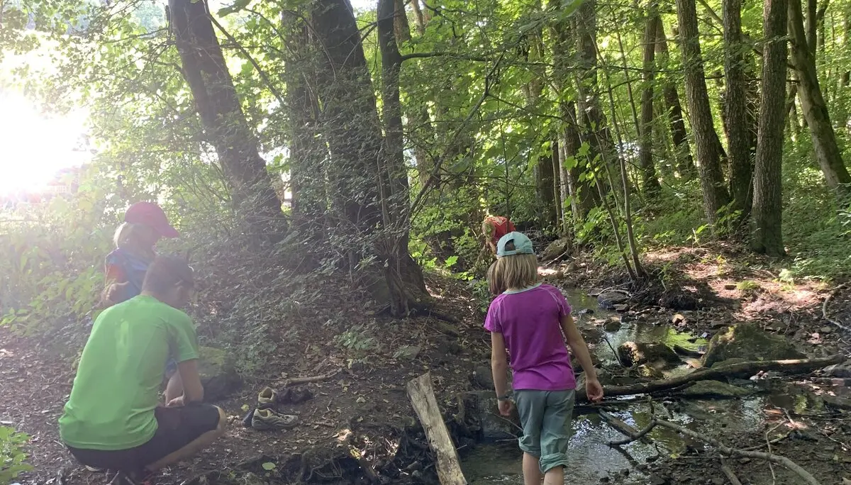 DAV Familiengruppe Wanderung Lösershag | © DAV Sektion Fulda