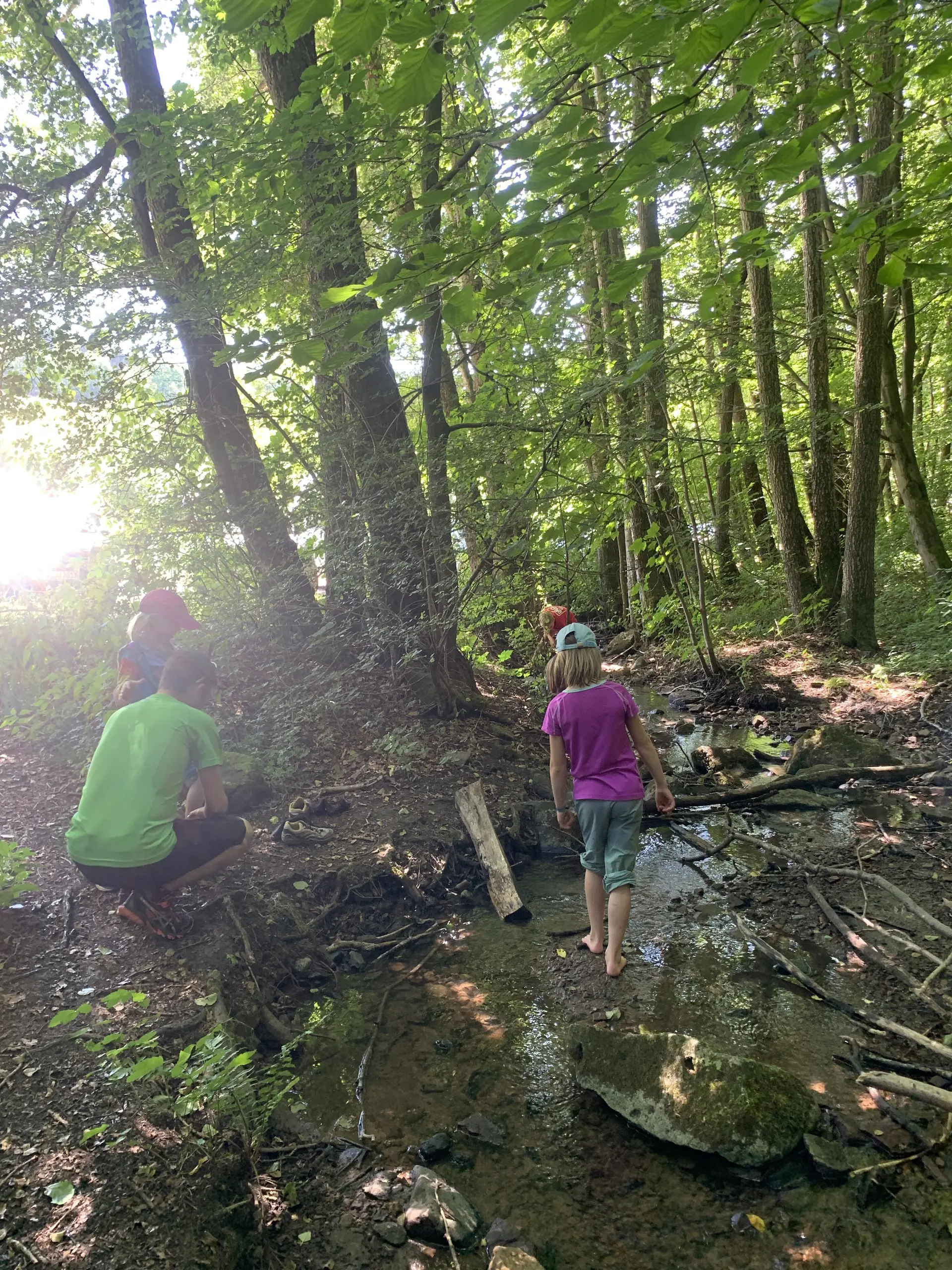 DAV Familiengruppe Wanderung Lösershag | © DAV Sektion Fulda