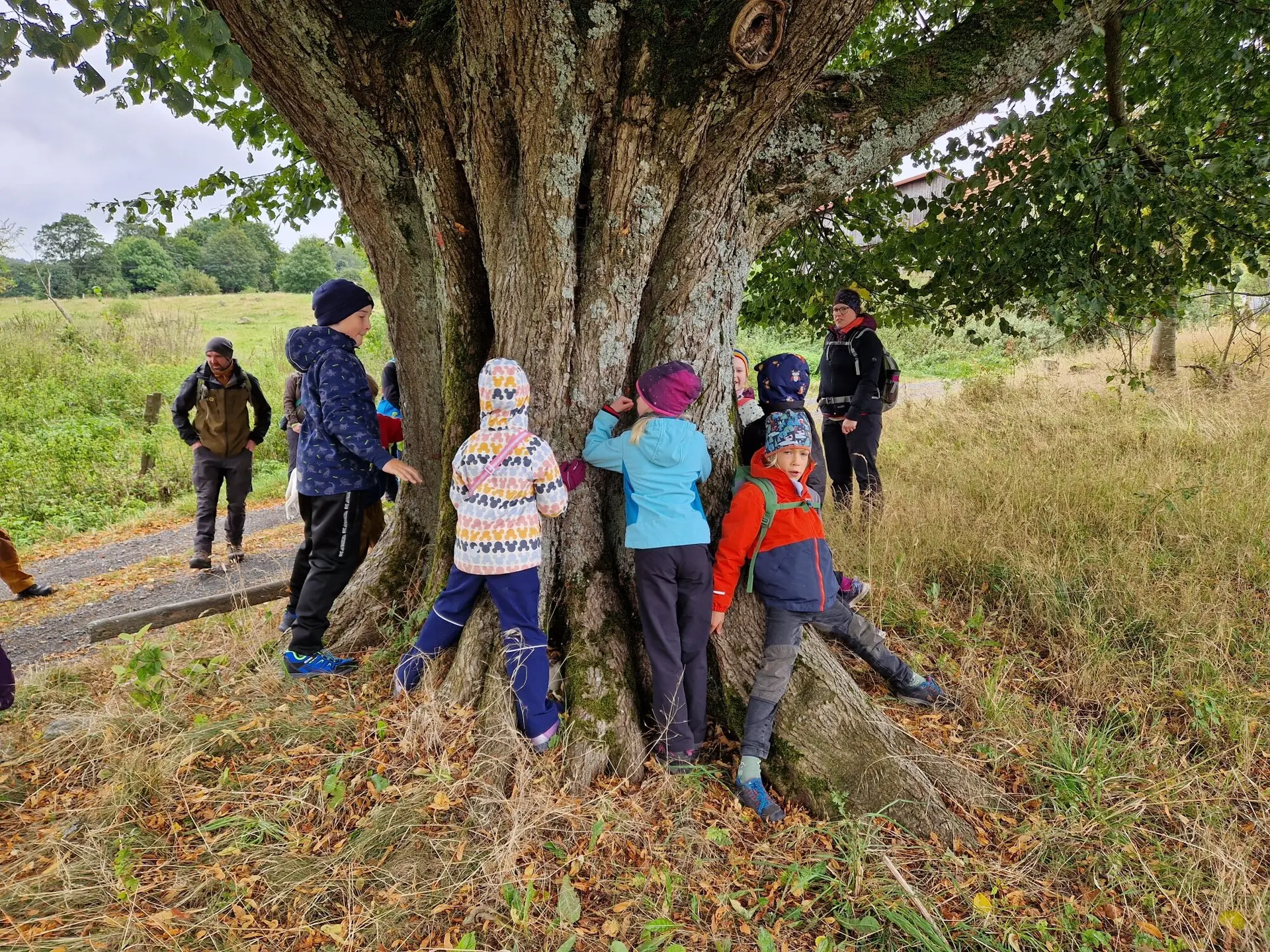 Unsere Familiengruppe unterwegs mit den Rhönrangern | © DAv Sektion Fulda