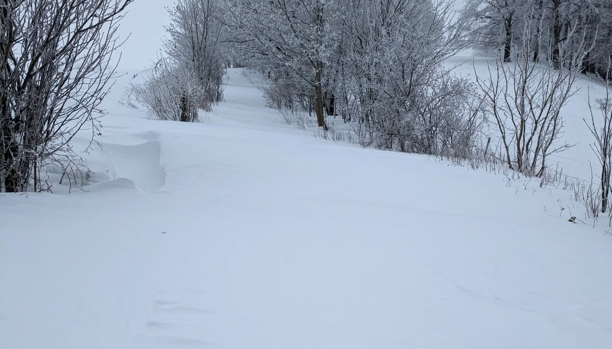 Schneeschuhwandern Rhön | © DAV Sektion Fulda