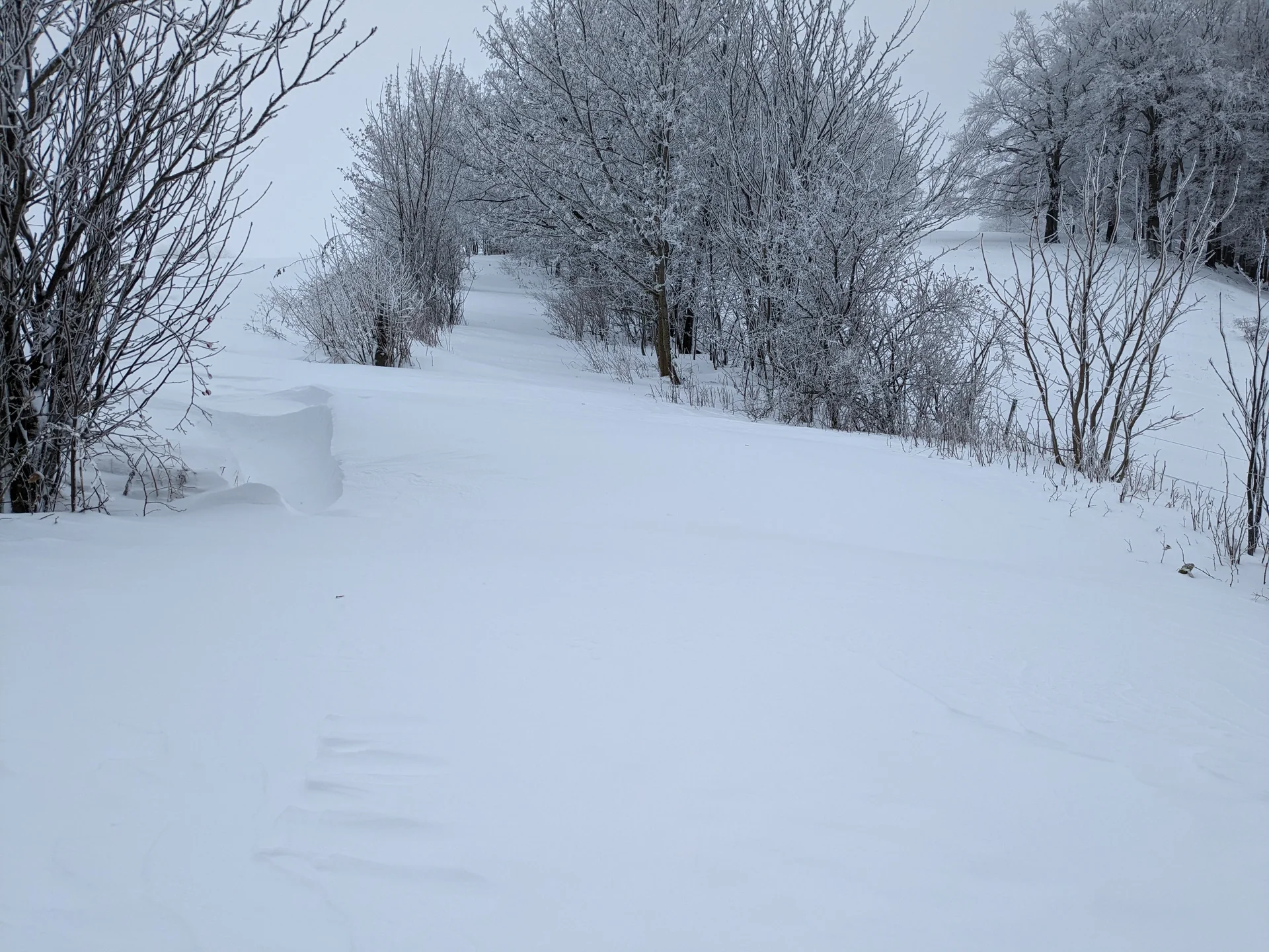 Schneeschuhwandern Rhön | © DAV Sektion Fulda