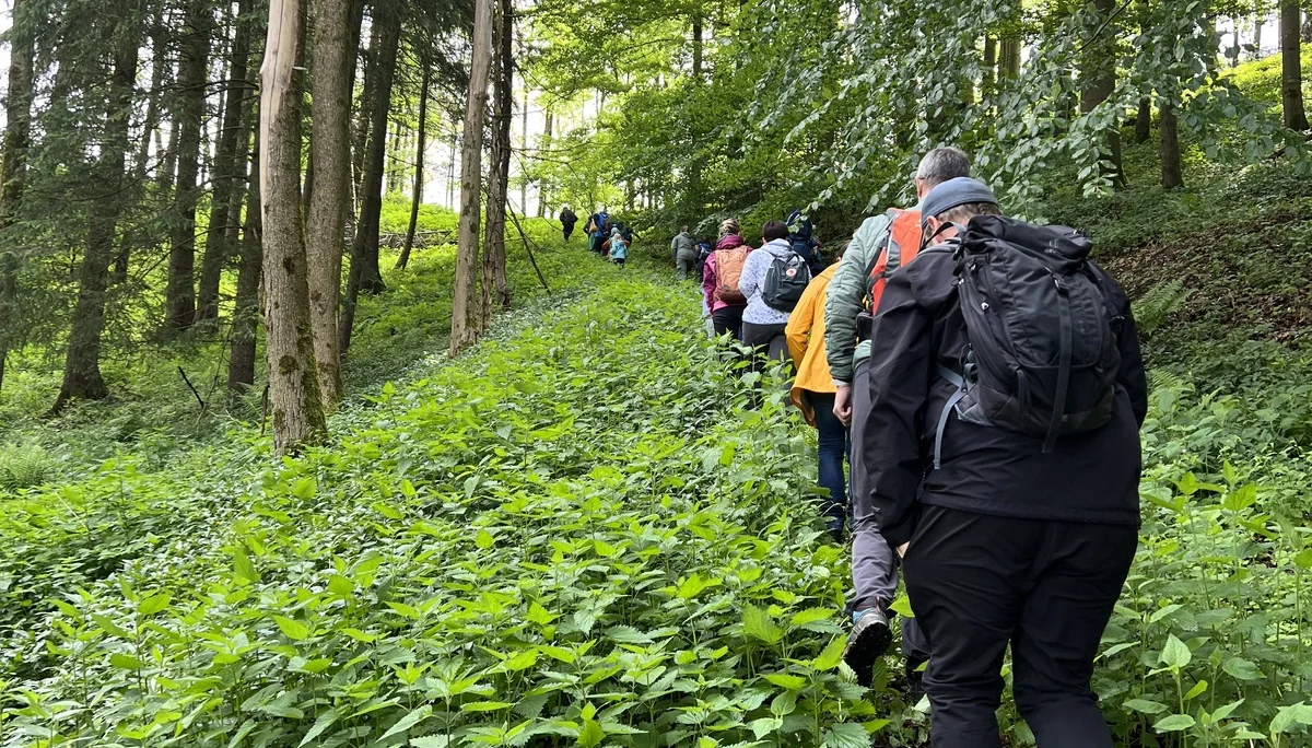 Familiengruppe Wildkräuterwanderung | © DAV Sektion Fulda
