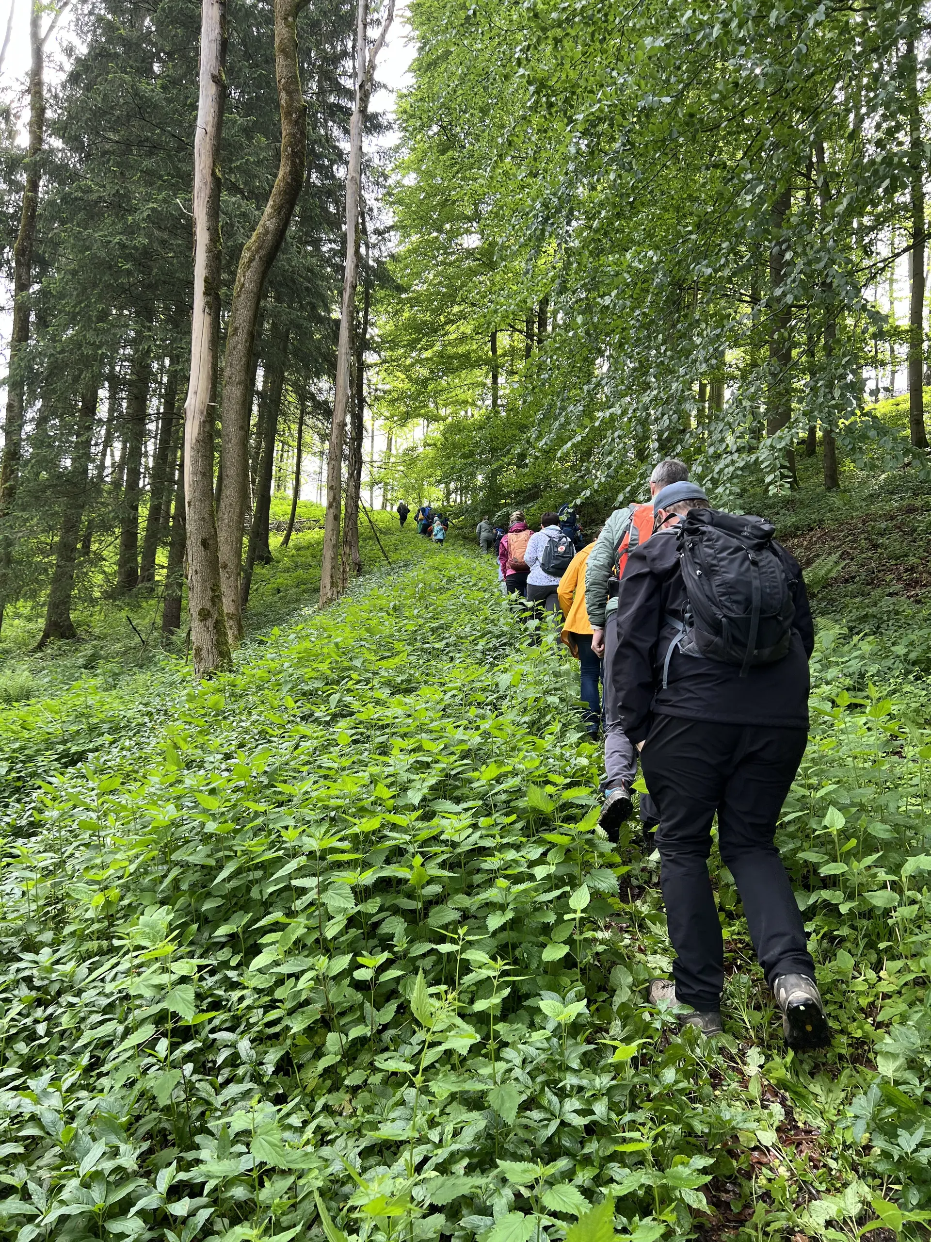 Familiengruppe Wildkräuterwanderung | © DAV Sektion Fulda