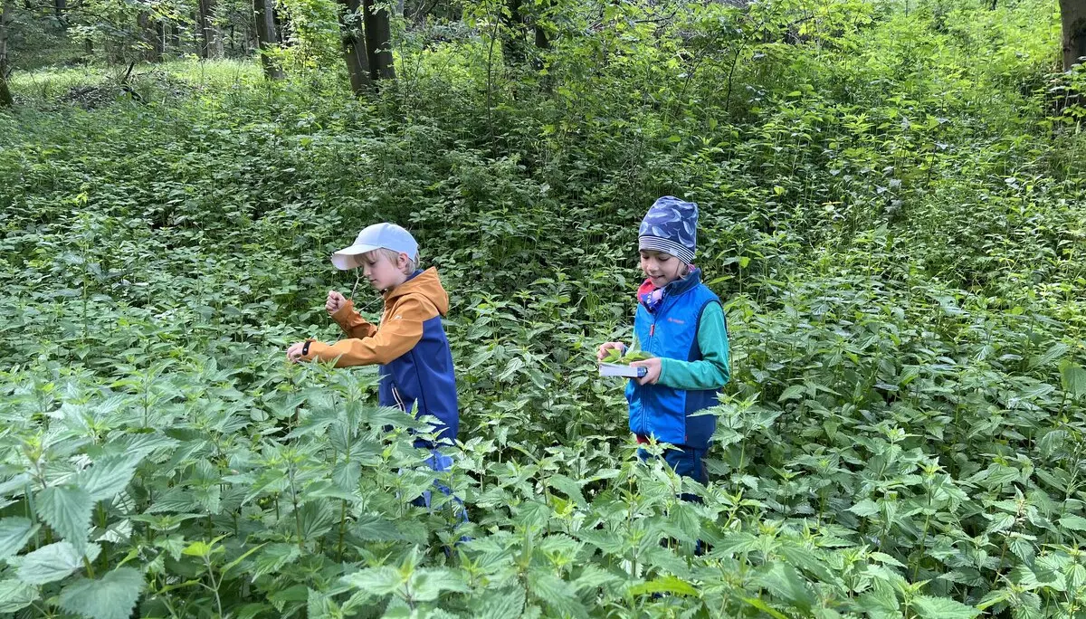 Familiengruppe Wildkräuterwanderung | © DAV Sektion Fulda