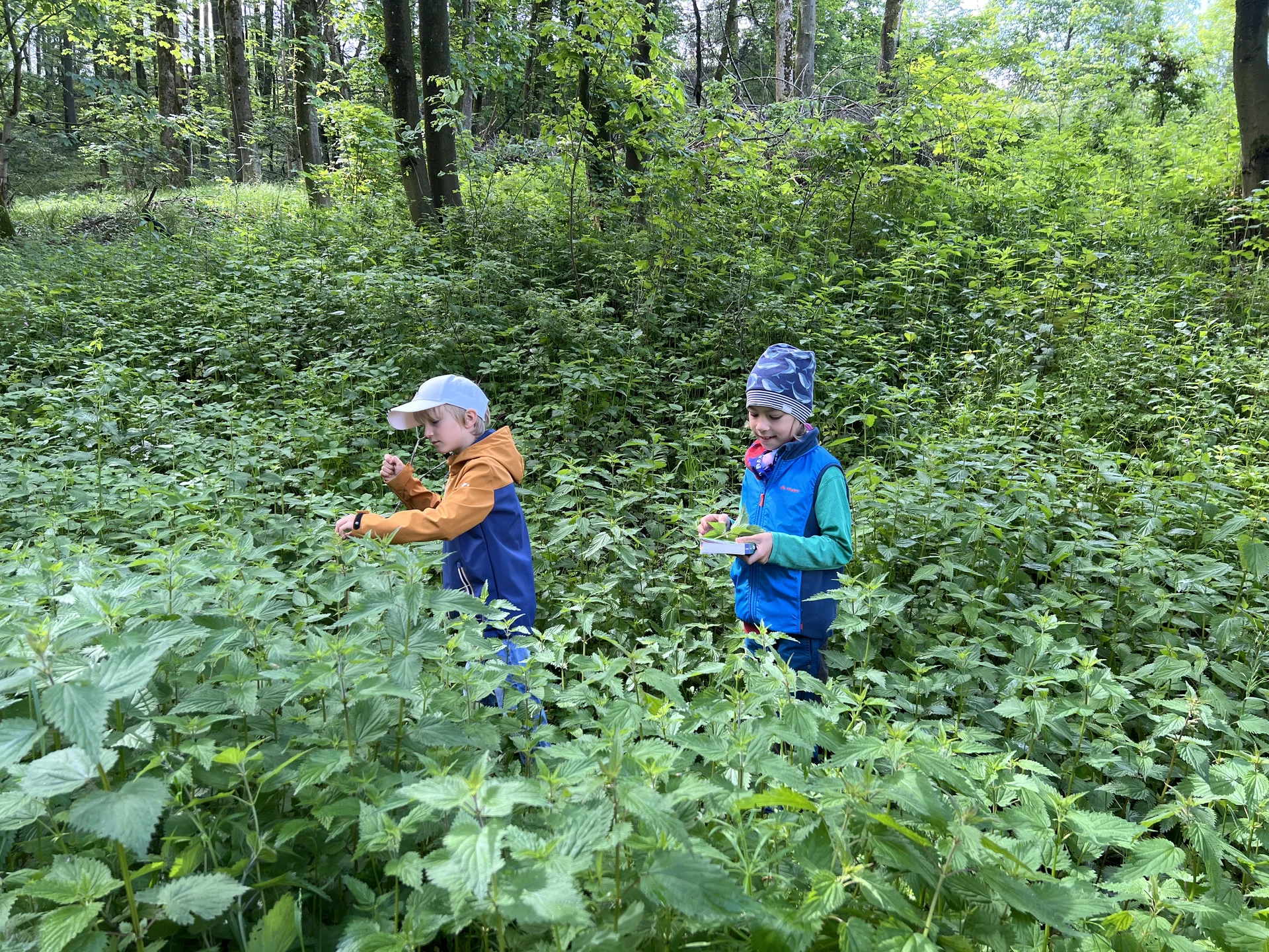 Familiengruppe Wildkräuterwanderung | © DAV Sektion Fulda