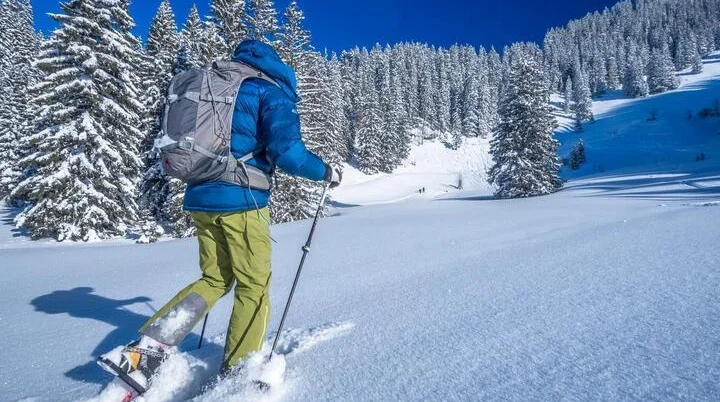 Skitourengeher bergauf | © DAV/Silvan Metz