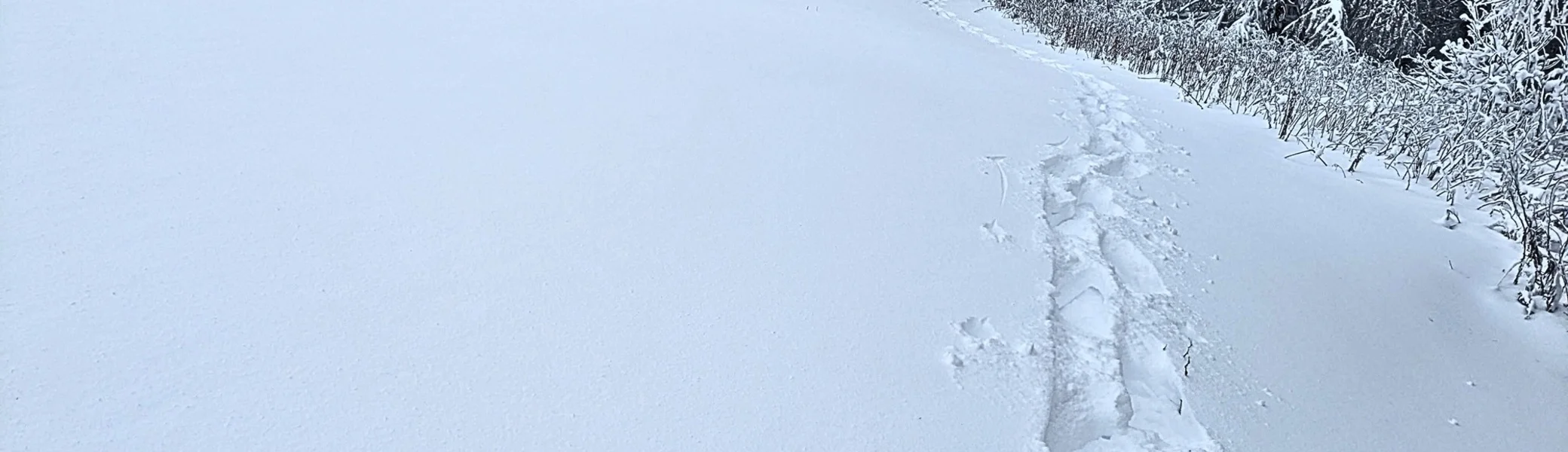 Schneeschuhwandern in der Rhön | © DAV Sektion Fulda