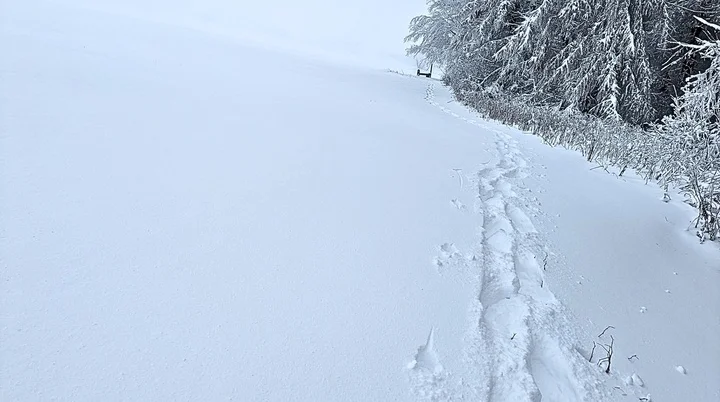 Schneeschuhwandern in der Rhön | © DAV Sektion Fulda