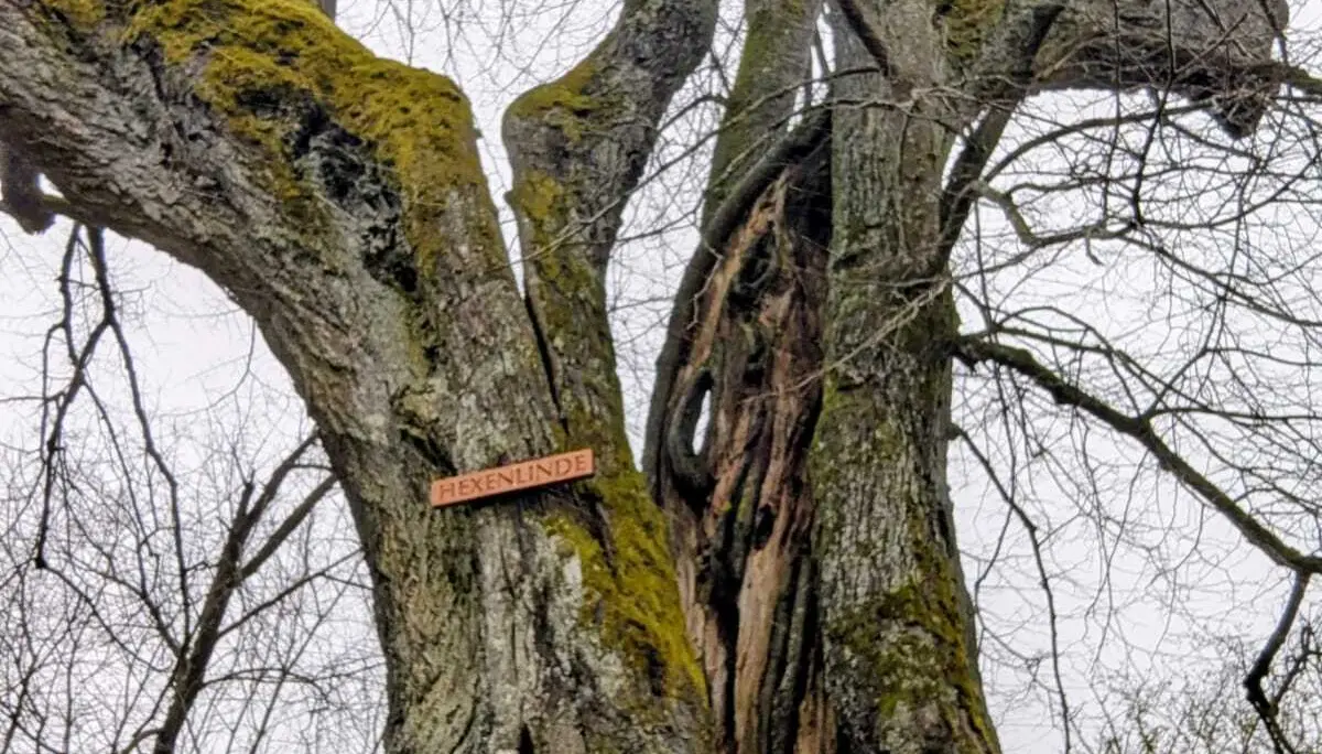 FastHiking Tour Rhön | © DAV Sektion Fulda