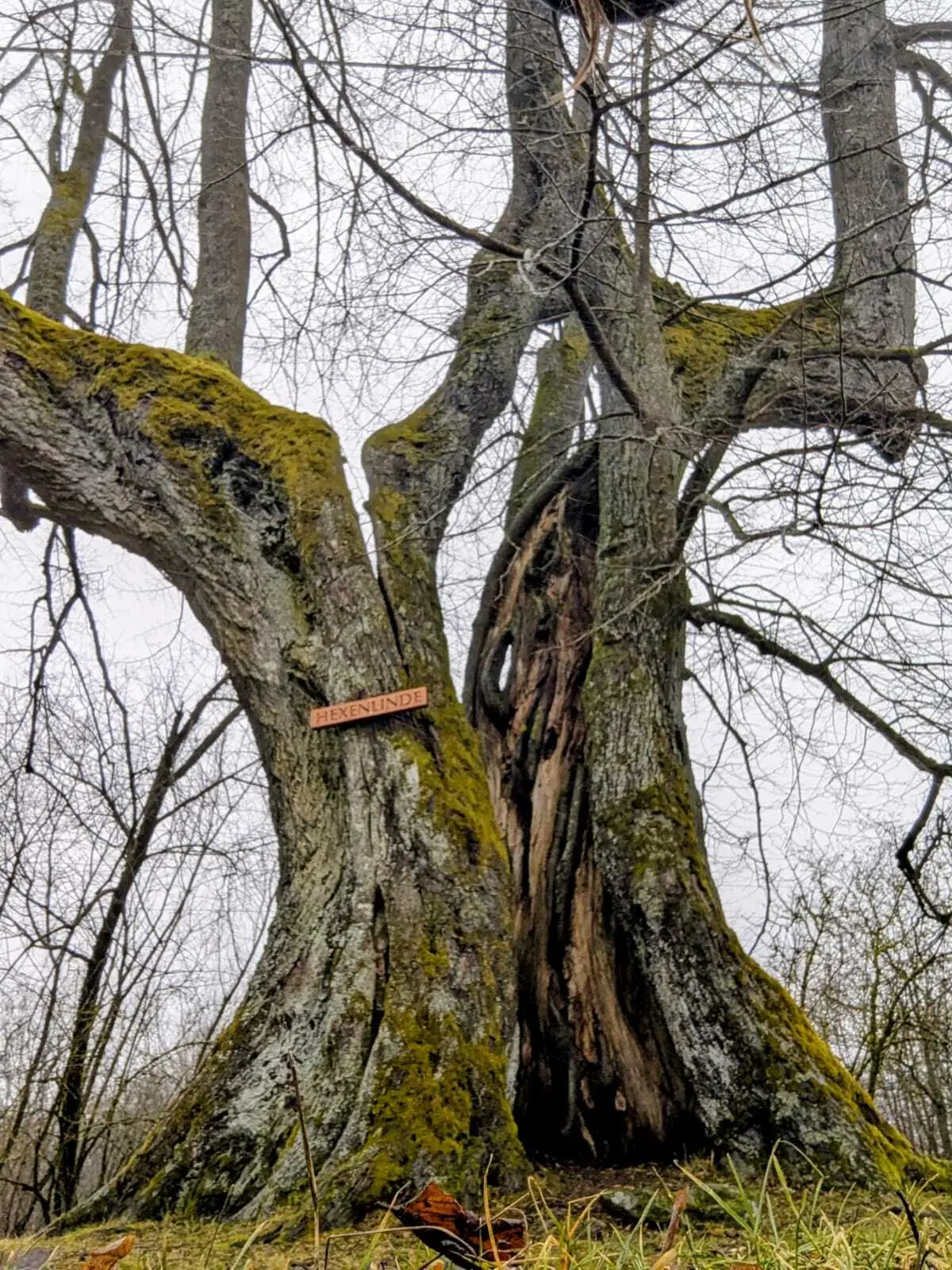 FastHiking Tour Rhön | © DAV Sektion Fulda
