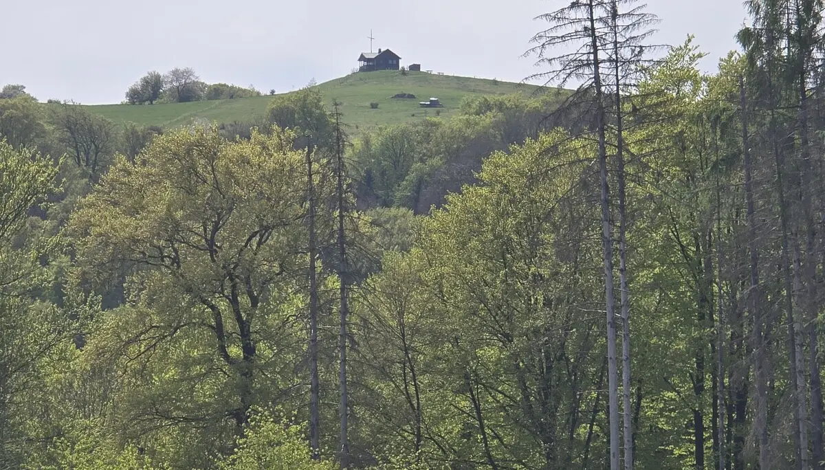 Fast Hiking, Blick zjm 'Gläser' mit der Gläserberghütte | © DAV Sektion Fulda