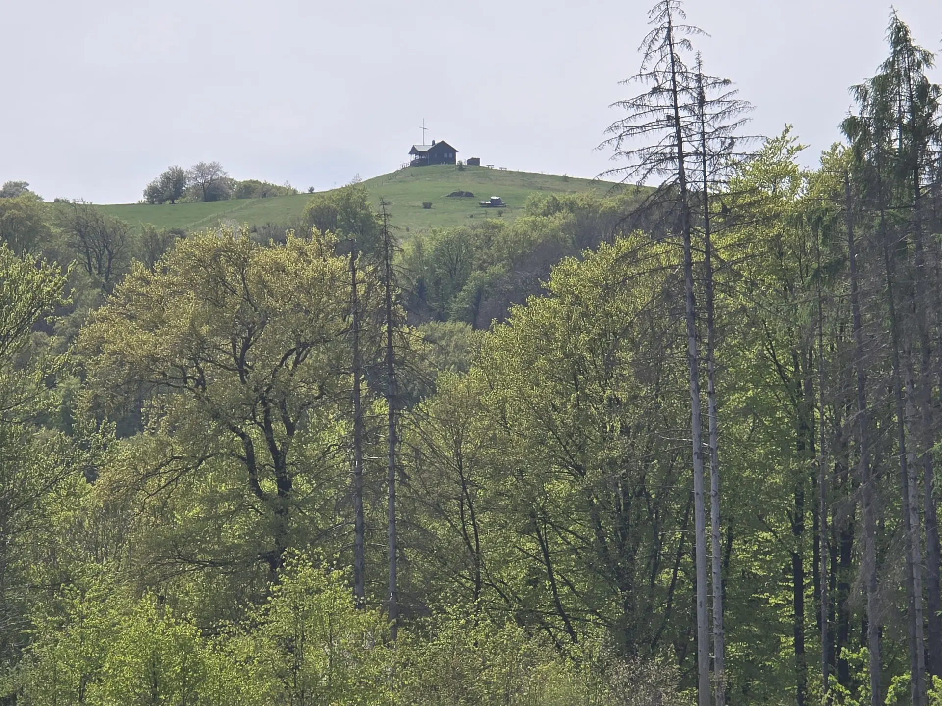 Fast Hiking, Blick zjm 'Gläser' mit der Gläserberghütte | © DAV Sektion Fulda