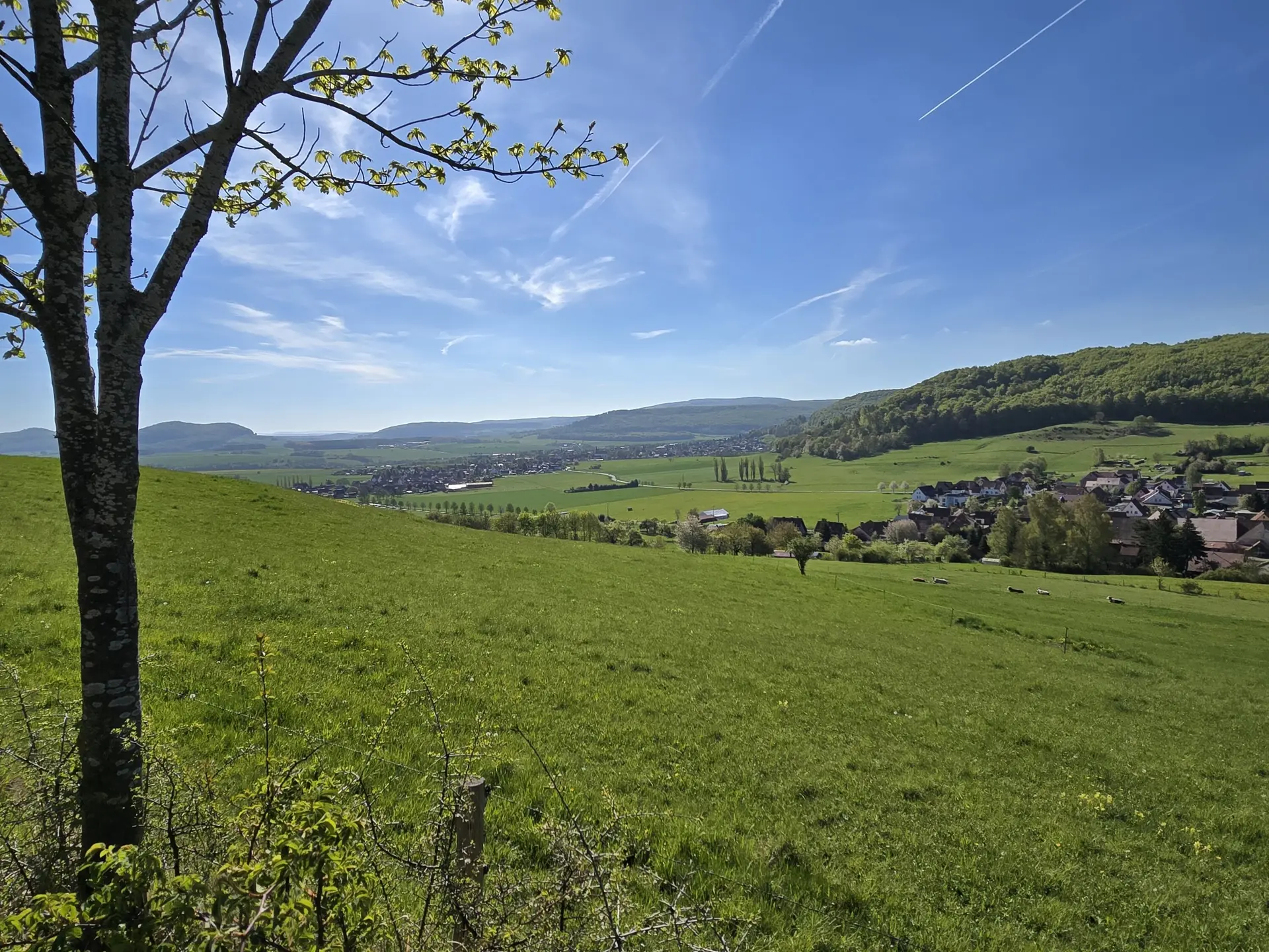 Fast Hiking, Thüringische Rhön | © DAV Sektion Fulda