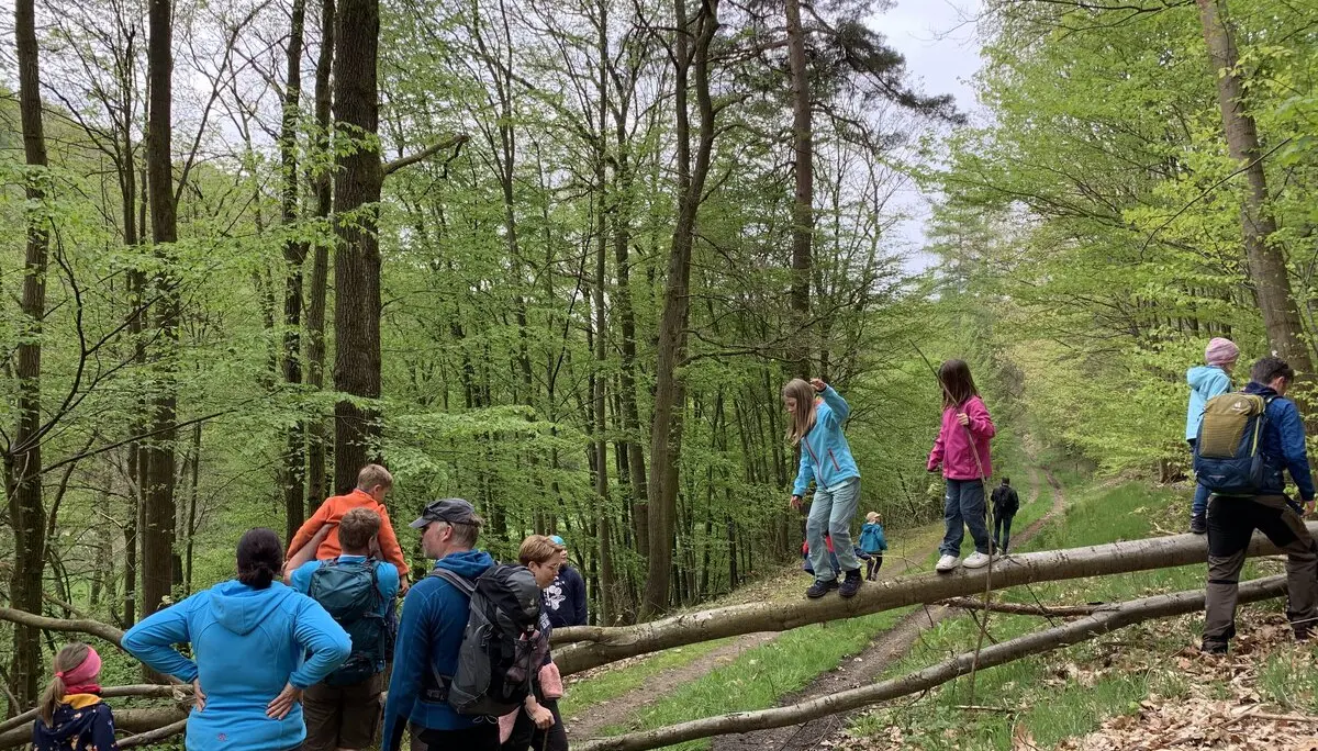 Familiengruppe Wanderung Steinbach | © DAV Sektion Fulda