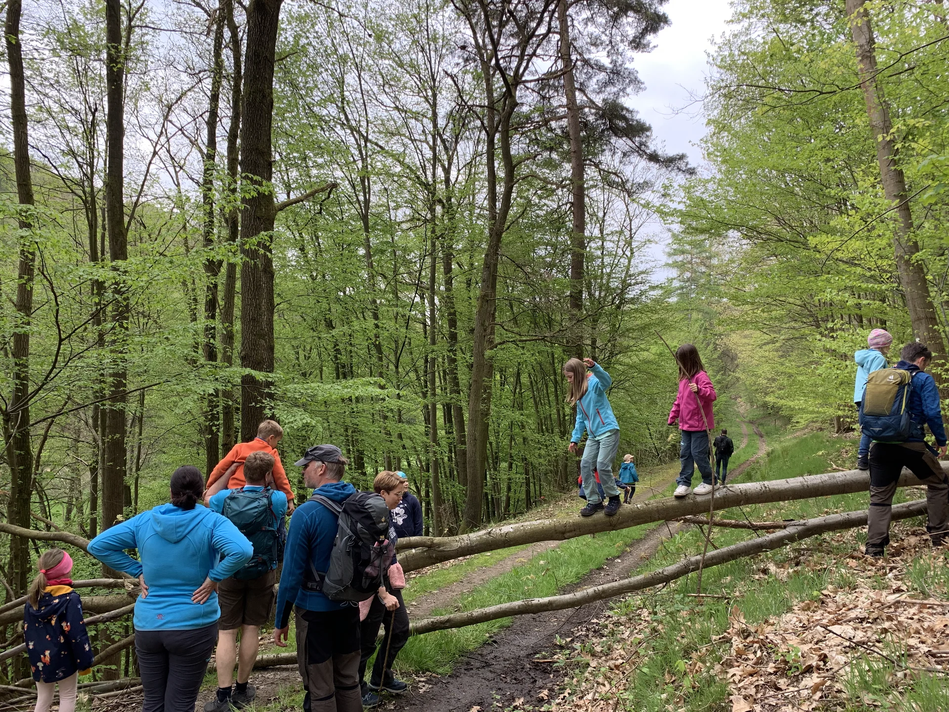 Familiengruppe Wanderung Steinbach | © DAV Sektion Fulda