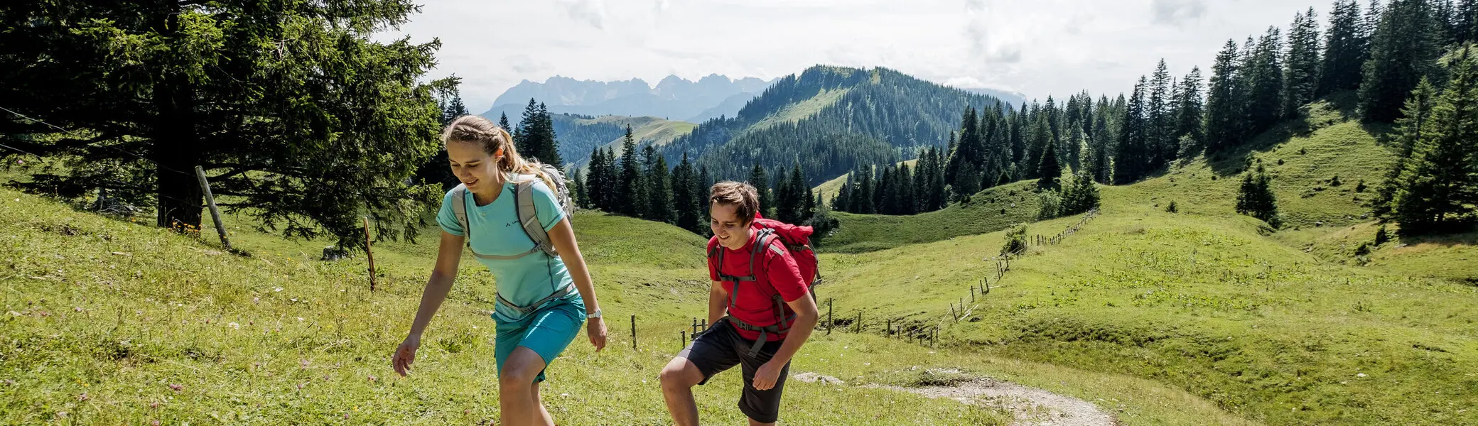 Zwei Wanderer auf einem Bergpfad in den Chiemgauer Alpen | © DAV/Hans Herbig